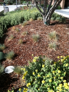 Photo of mulch used as a part of landscaping