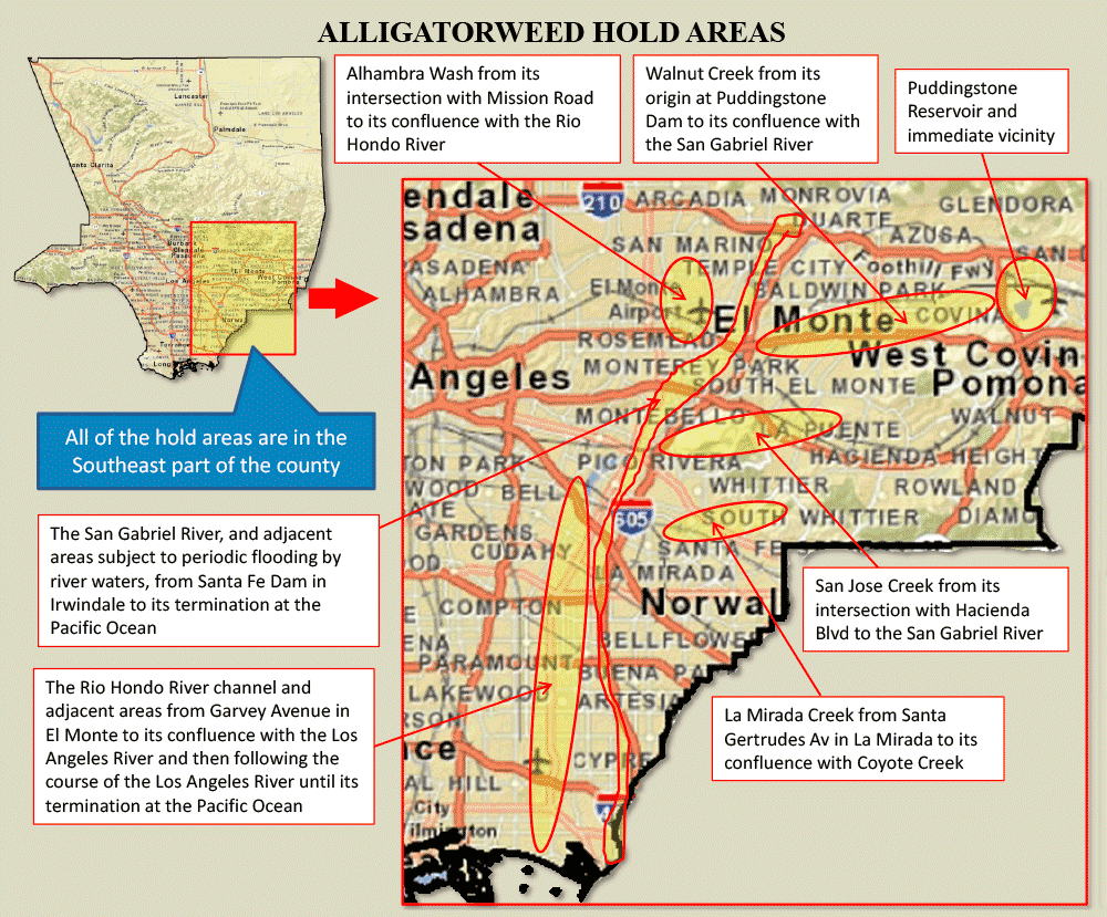 Map of Aligatorweed hold areas in Los Angeles County