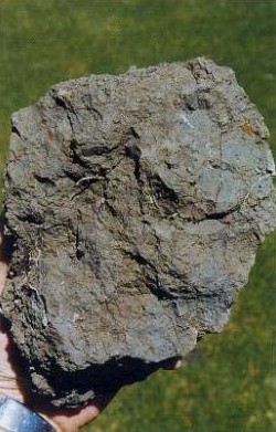 soil pores poor condition